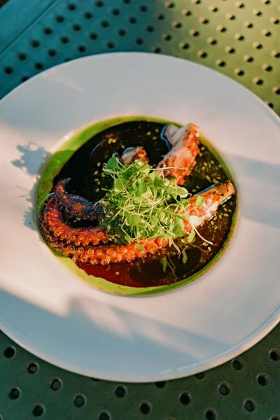 Gourmet grilled seafood plate garnished with seasonal herbs